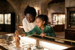 Museus em São Paulo: 7 opções que valem a visita