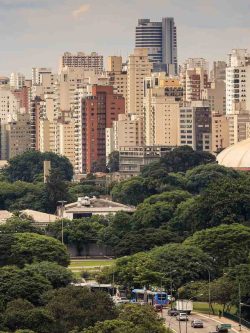 Zona Sul de São Paulo: uma das mais cobiçadas da cidade