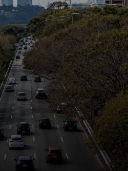 Alto da Lapa: vale a pena?