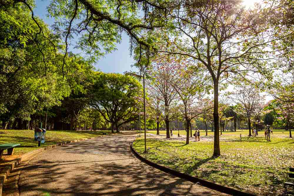 Parques Zona Sul de São Paulo: veja onde passear e o que fazer