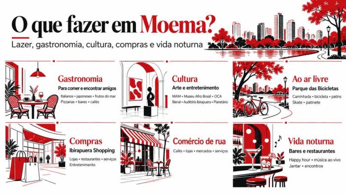Infográfico sobre o que fazer em Moema reúne gastronomia, cultura, lazer ao ar livre, compras, comércio de rua e vida noturna.