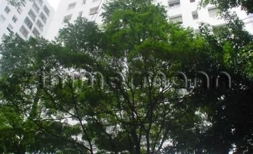 Imagem do imóvel código 137585