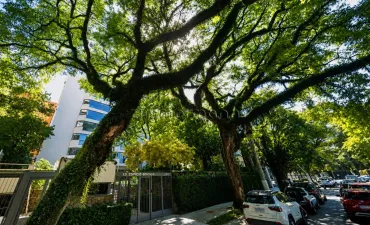 Imagem do imóvel código 138402