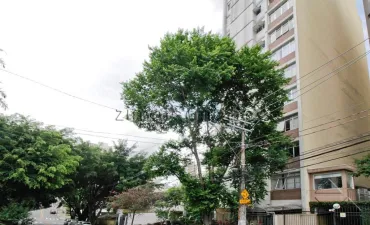 Imagem do imóvel código 22627