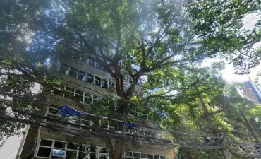 Imagem do imóvel código 269049