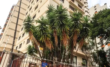 Imagem do imóvel código 279887