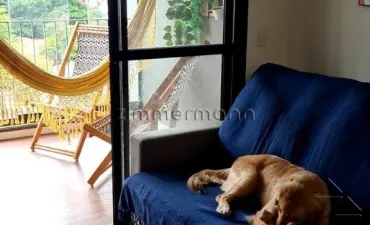 Imagem do imóvel código 283360