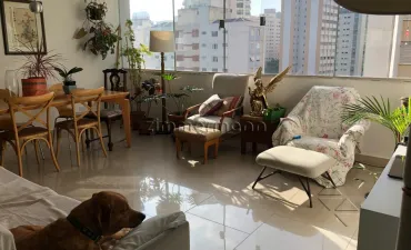 Imagem do imóvel código 290900