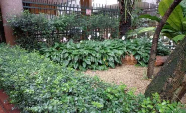 Imagem do imóvel código 63413